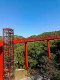 #深圳市虹橋公園之美