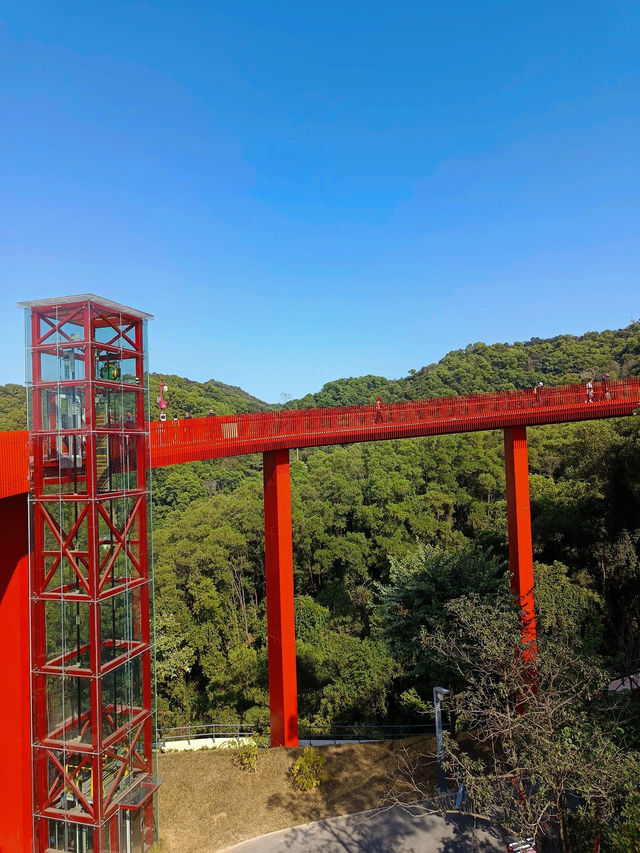 #深圳市虹橋公園之美