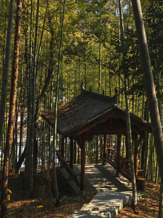 徽州古鎮｜終於找到了一家心儀的園林民宿