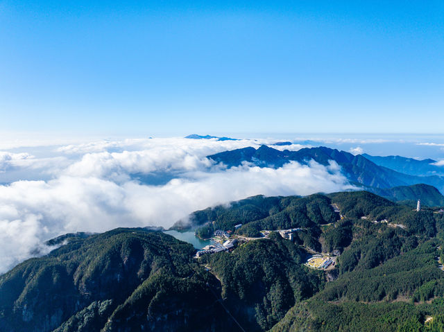 私藏宜春小眾目的地！一起「森」呼吸