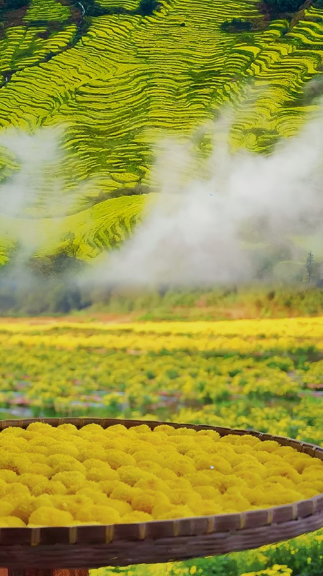 國家最美鄉村 我替你哋體驗咗 玩到唔想返屋企
