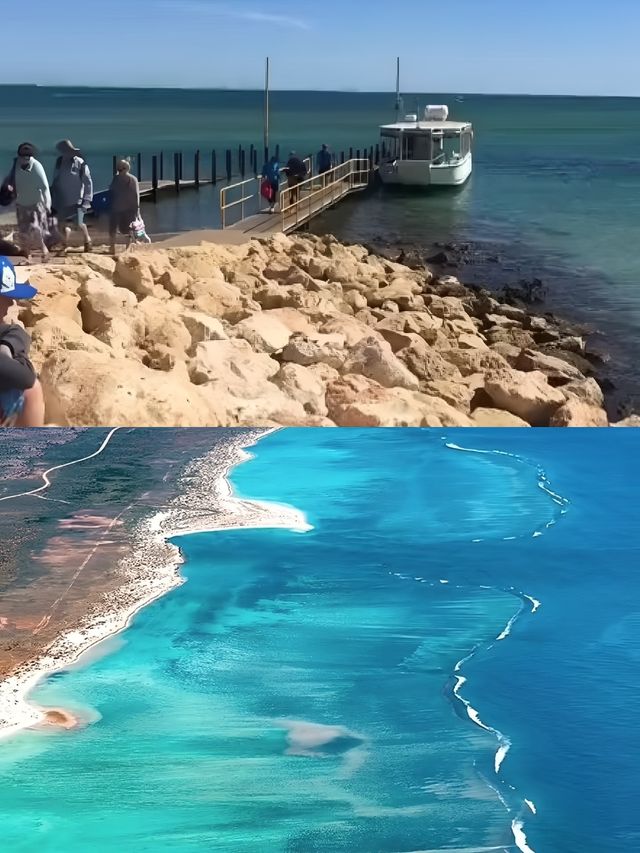 來埃克斯茅斯旅遊必打卡攻略