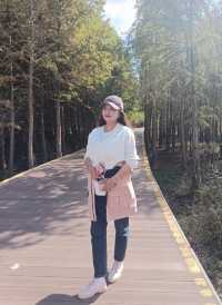崇明島西沙濕地～一個畫一樣嘅地方