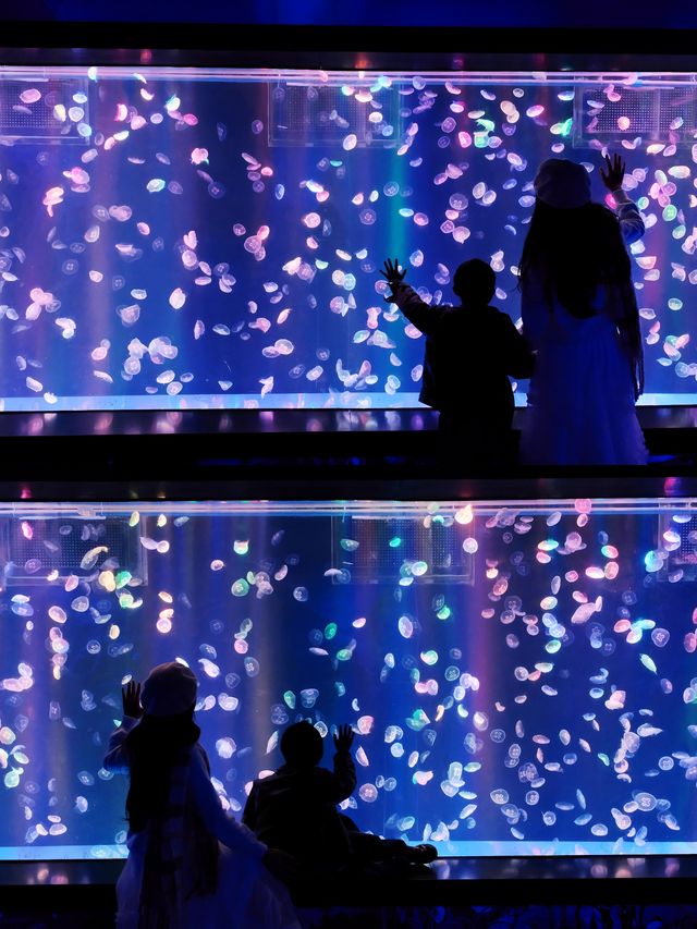成都親子遊｜海洋館的浪漫，由海洋館呈獻！