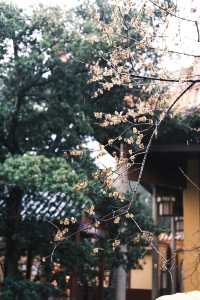 古寺廟推薦
