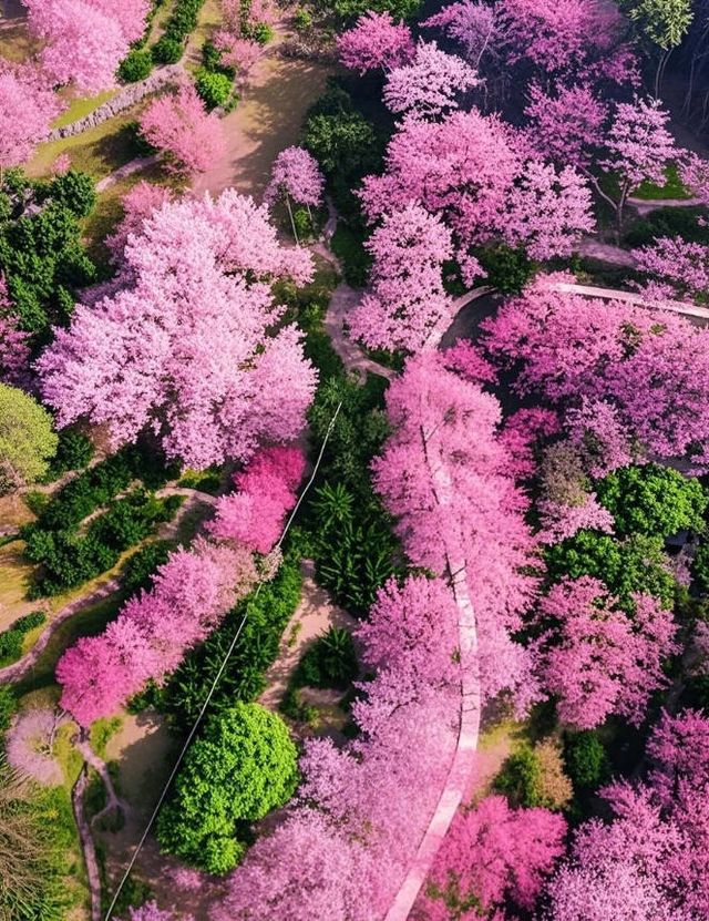 倒計時！這個梅花古村即將美到封神