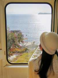 深圳の海邊🌊冬日的愜意歸宿