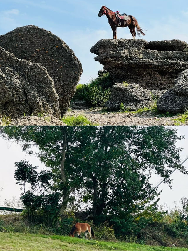 逃離人潮，在宜昌點軍艾家鼓浪嶼擁抱自然