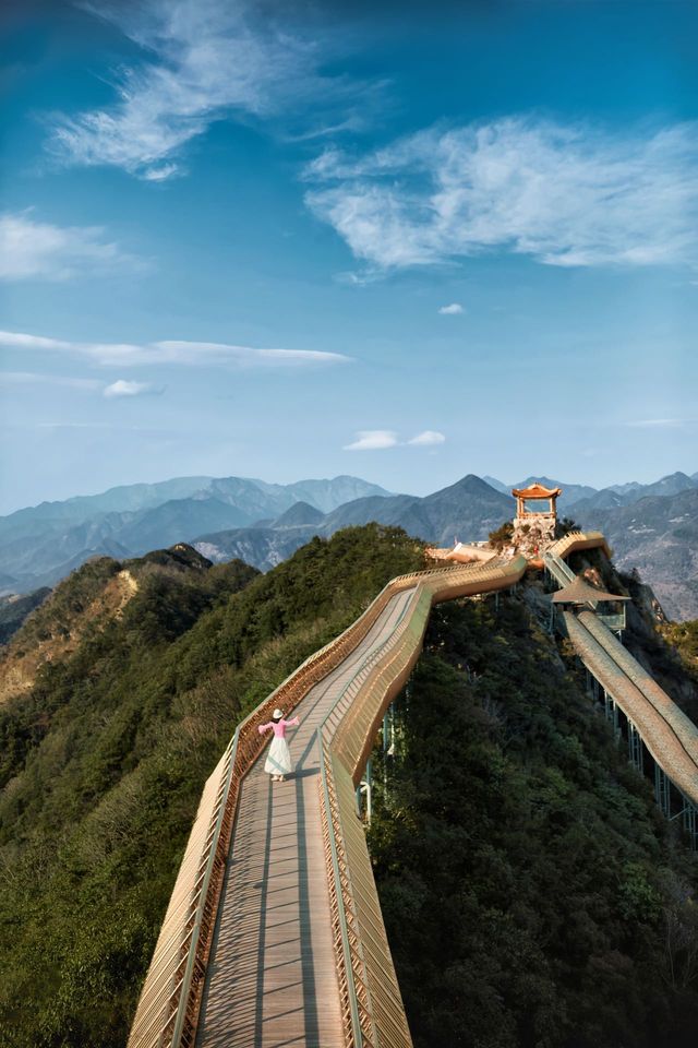 唔係去外國，而係為咗呢個佛手，我去咗一趟杭州……