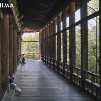 廣島必訪！宮島千疊閣豐國神社探秘🏯