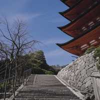 廣島必訪！宮島千疊閣豐國神社探秘🏯
