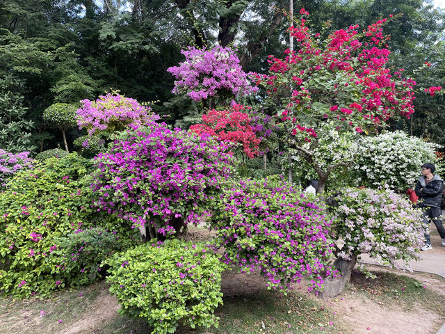 傣王行宮 曼聽御花園