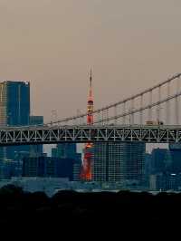海風與都市的邂逅：御台場海濱公園的悠閒時光