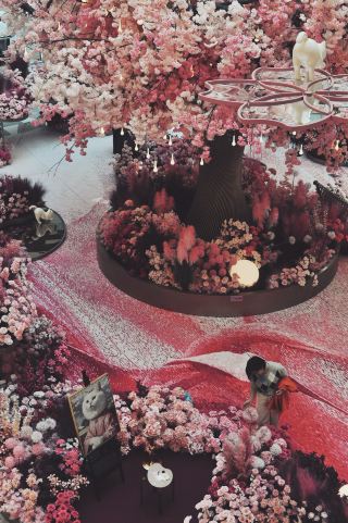 Beijing's spring romance isn't just in parks! It's also in shopping malls.