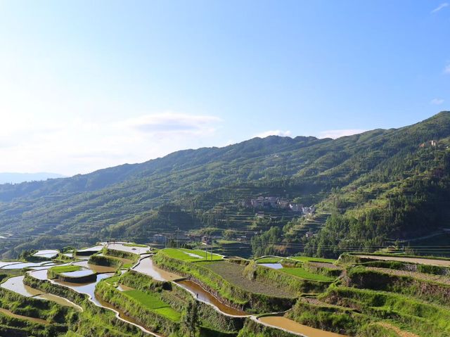 春日梯田秘境｜肇興侗寨·廈格梯田。