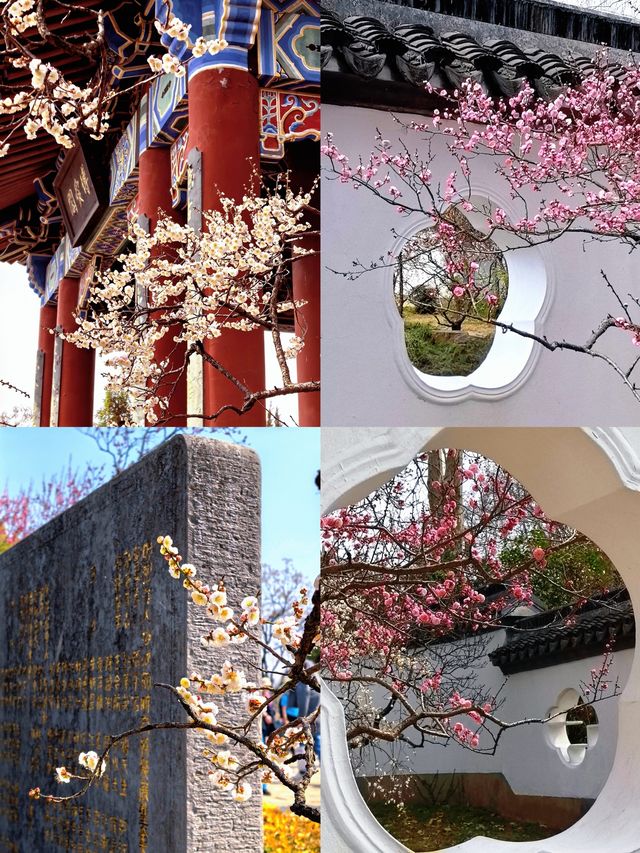 去了一趟牛首山，總結了這些教訓