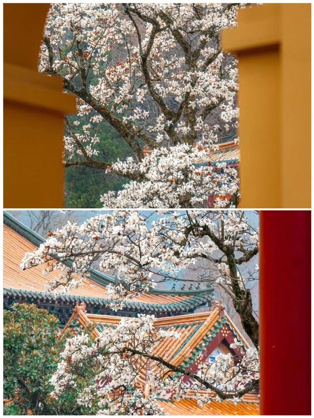 臨安之旅歸來，分享真實感受！一首歌曲，一座城