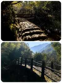 衢州藥王山千年藥香裡的仙俠養生之地來吧