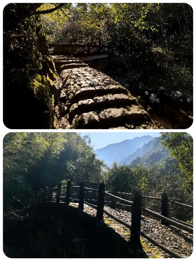 衢州藥王山千年藥香裡的仙俠養生之地來吧