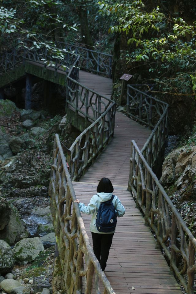 上春山·徒步︳冇俾佢虐到，但俾佢靚到