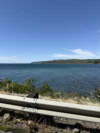 A Swim Like No Other, The Lakes In The Bay Of Plenty New Zealand