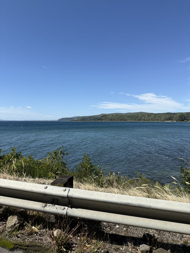 A Swim Like No Other, The Lakes In The Bay Of Plenty New Zealand