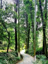 Essencial Core of Wuhan: Pursuiting Vibrant Vibes of Stunning City