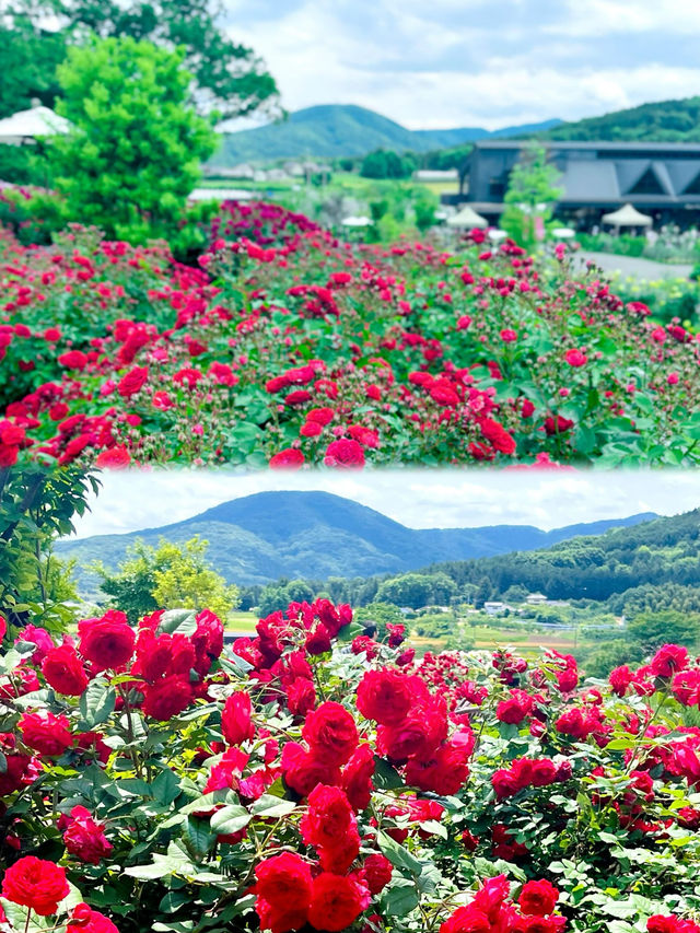 東京近郊茨城縣廳所在地水戶必去景點推薦！