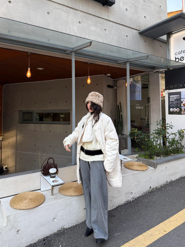 🇰🇷首爾漢南洞探店 | bellu:s咖啡廳，萌寵相伴的打卡聖地