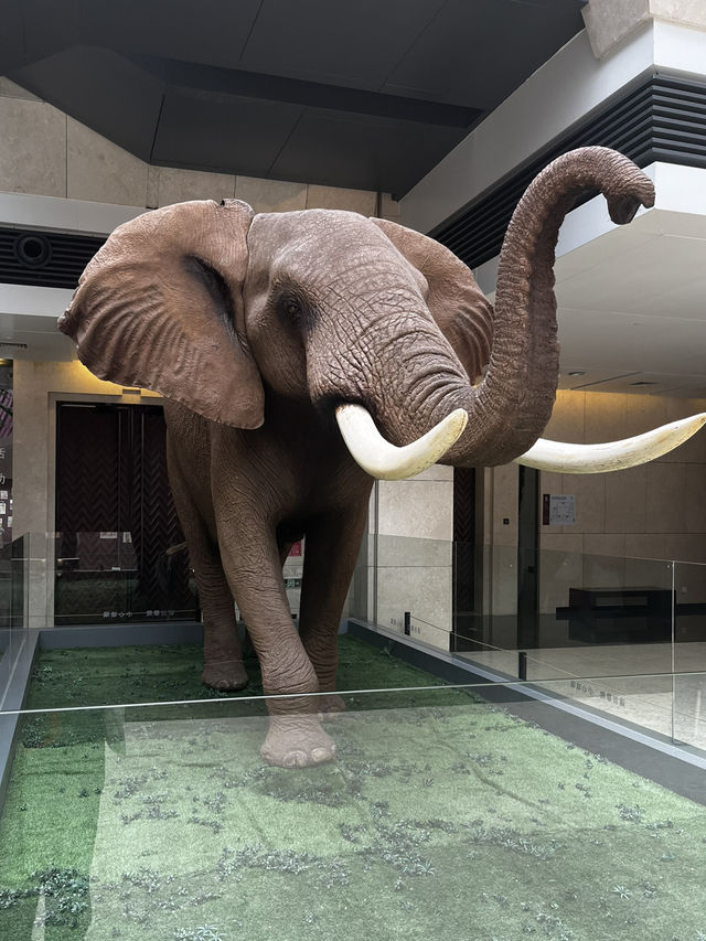 It’s not the Louvre! - Inside Shenzhen Art Museum Part 2