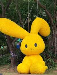 深圳中山公園藏著的森系花展，美到令人窒息！