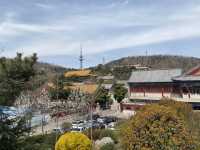 【青島湛山寺】