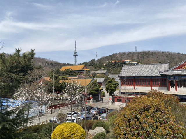【青島湛山寺】