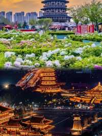 三天兩夜，洛陽隱藏玩法大公開
