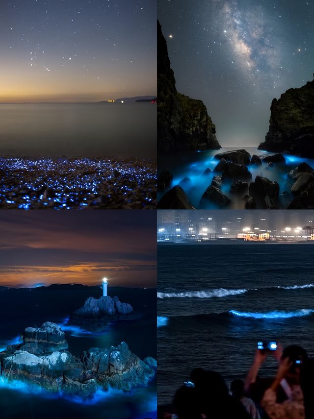人生建議：4-6月一定要去一次舟山