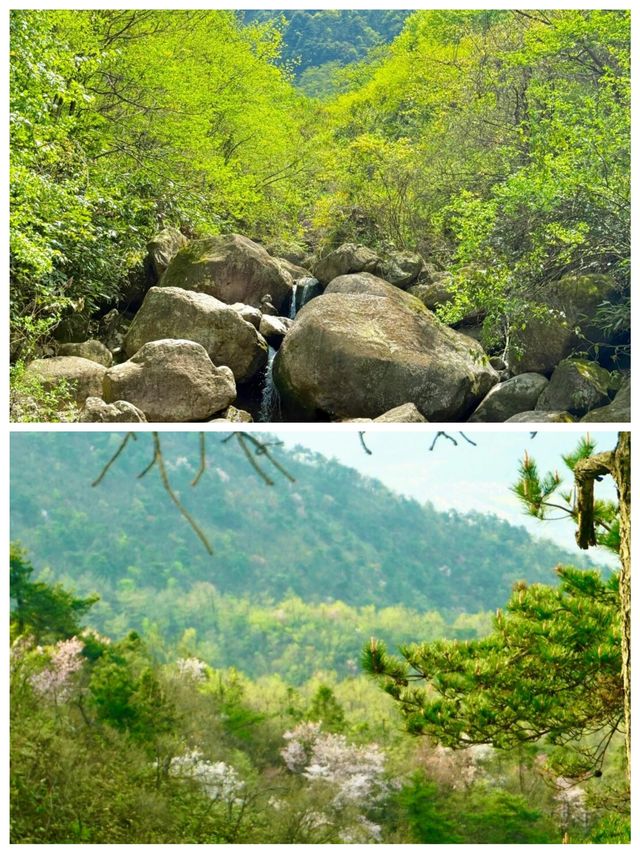 杏梅尖遠足邊走邊看風景獨美