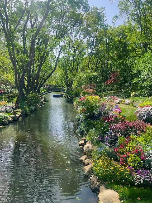 春日賞花｜上海共青森林公園遊覽攻略