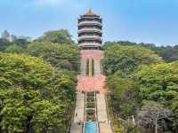🏯【東莞厚街隱世古塔】唔使點行都上到頂⛰️  