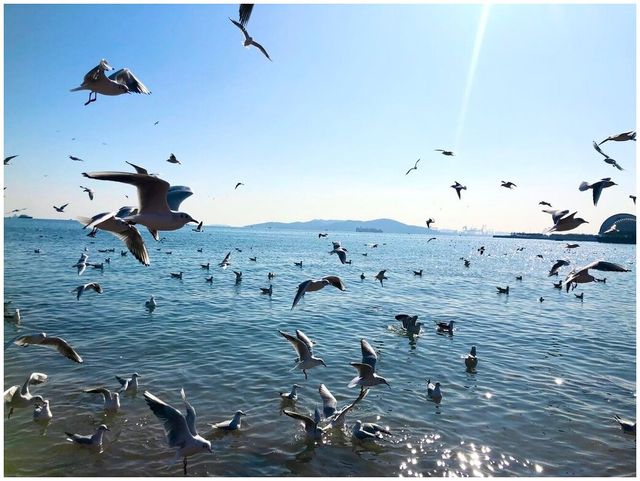 48 小時暢覽海濱風光之旅