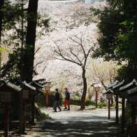 九州行指南（第2季）—宮地嶽神社