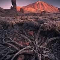 Canary Islands