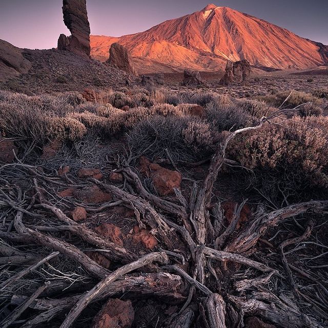 Canary Islands