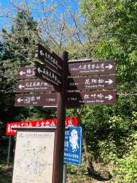   Xishan National Forest Park – Beijing