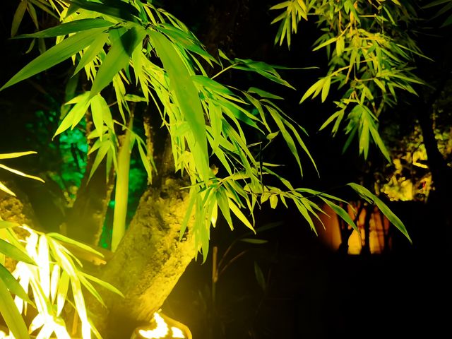 成都，嚟咗就唔想走嘅城市！