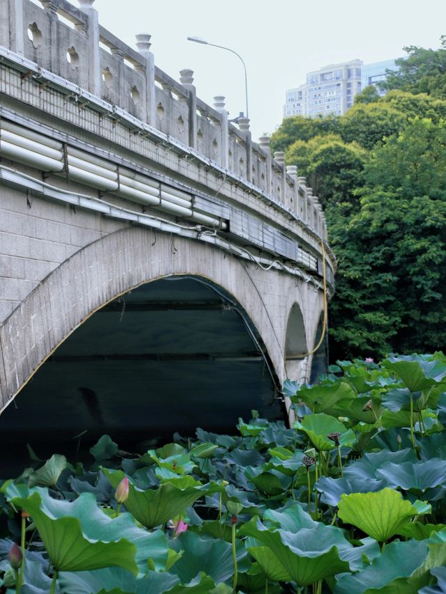 合肥翡翠湖：領略大壩景觀與田園風光的別樣風情》
