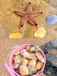 小石島趕海旅遊文案：赴一場與大海的浪漫奇遇