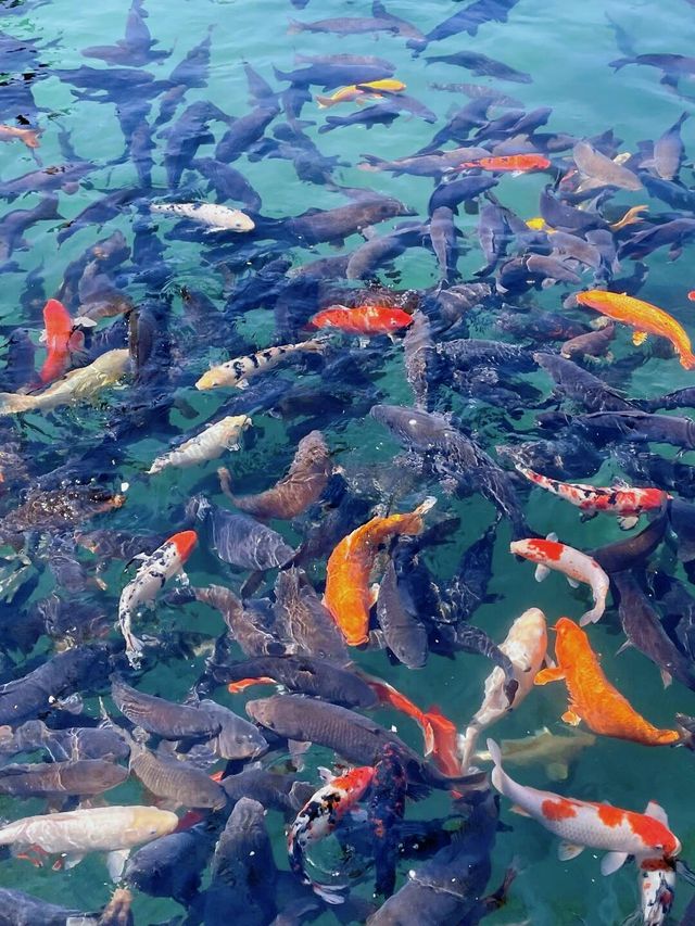 「泉」因有你——聽珍珠泉訴說大地嘅心跳