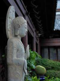 真如寺：鬧市中的千年禪意秘境