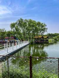 鄭州被嚴重低估嘅小眾公園！人少景靚