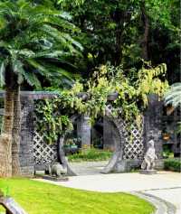 一齊去公園行下·深圳仙湖植物園！